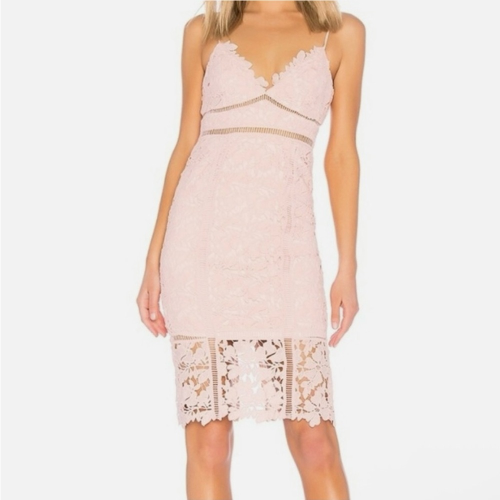 Bardot Botanica Lace Dress